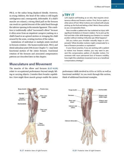 Functional Anatomy for Occupational Therapy - 1st Edition