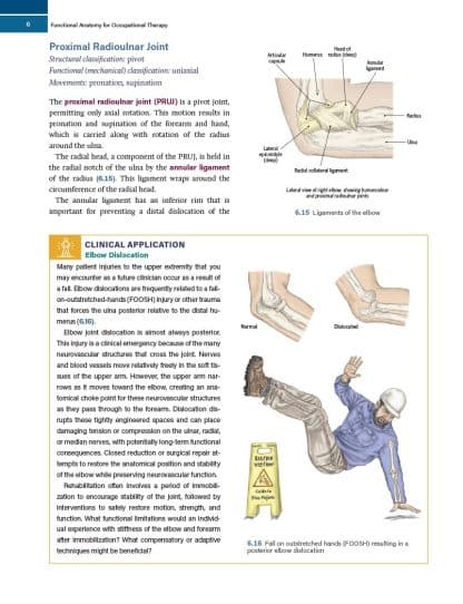 Functional Anatomy for Occupational Therapy - 1st Edition