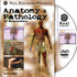 Real Bodywork Anatomy & Pathology for Bodyworkers Video on DVD & Streaming Version