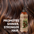Best of Nature Organic Argan Massage & Body Oil (Moroccan) - 100% Pure