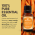 Best of Nature Carrot Seed Essential Oil - 100% Pure