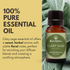 Best of Nature Clary Sage Essential Oil - 100% Pure