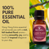 Best of Nature Ylang Ylang Extra Essential Oil - 100% Pure - Massage King