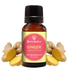 Best of Nature Ginger Essential Oil - 100% Pure