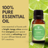 Best of Nature Lime Essential Oil - 100% Pure