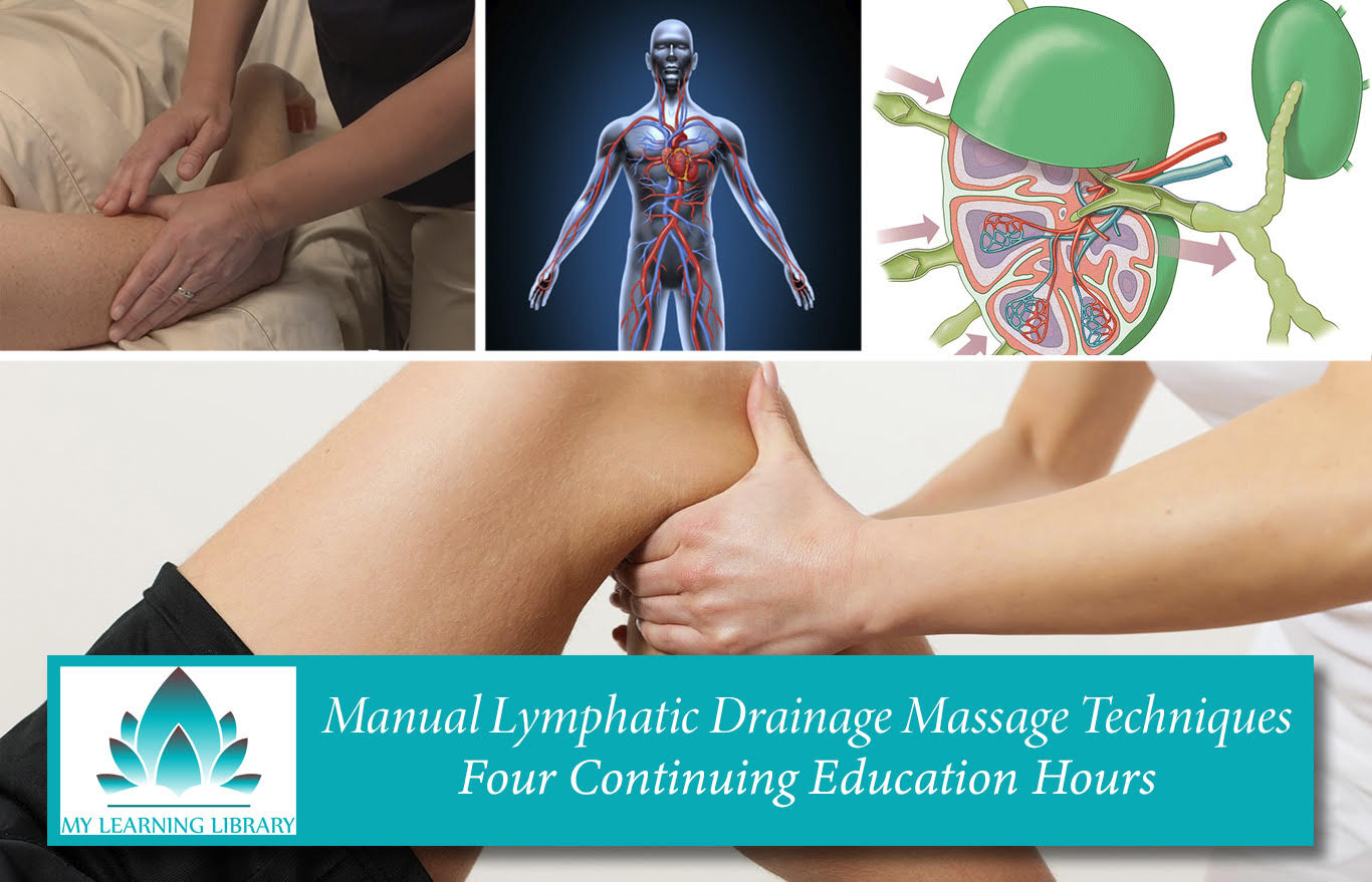 Manual Lymphatic Drainage Massage Techniques -  4 CE Hours - Castine Consulting