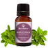 Best of Nature Marjoram Essential Oil - 100% Pure