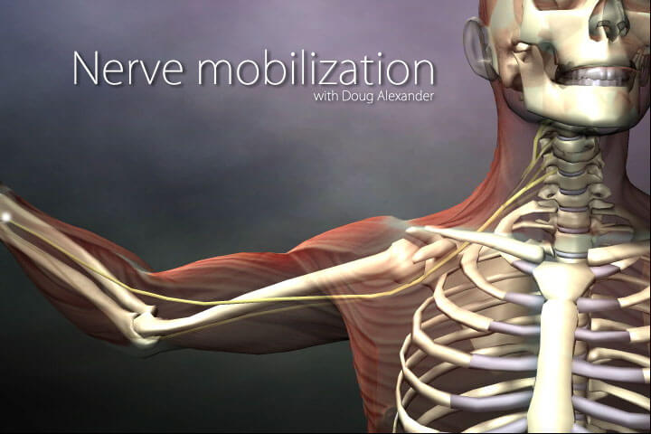 Real Bodywork Nerve Mobilization The Upper Body Video on DVD & Streaming Version