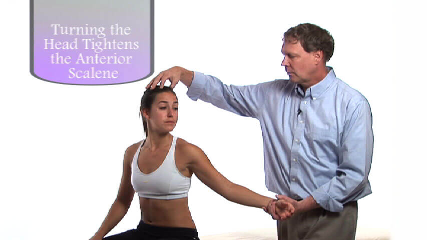 Orthopedic Assessment The Upper Body Video on DVD & Streaming Version - Real Bodywork