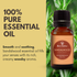 Best of Nature Sandalwood Essential Oil - 100% Pure