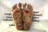 Real Bodywork Reflexology Massage - Feet & Hands Video on DVD & Streaming Version