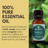 Best of Nature Spruce Essential Oil - 100% Pure