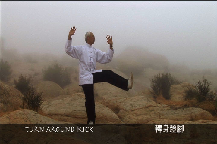 Tai Chi Stillness Through Motion Video on DVD - Real Bodywork