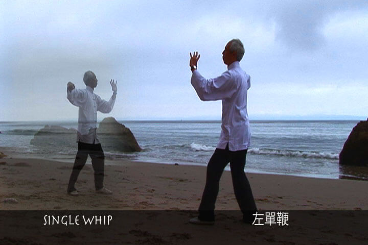 Tai Chi Stillness Through Motion Video on DVD - Real Bodywork