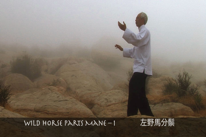 Tai Chi Stillness Through Motion Video on DVD - Real Bodywork