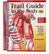 Trail Guide to the Body - 5th Edition - Spa & Bodywork Market