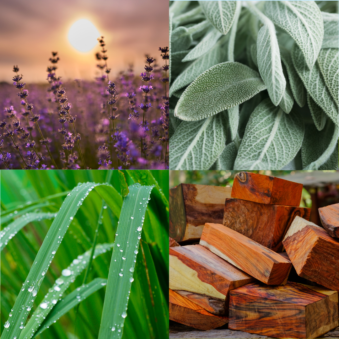 Best of Nature Tranquility Aromatherapy Massage & Body Oil