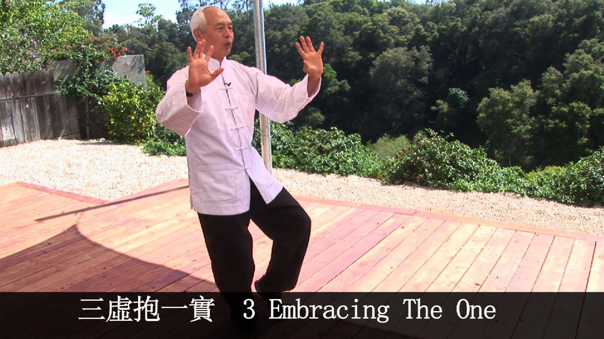 Wu Hao Tai Chi Video On DVD - Real Bodywork