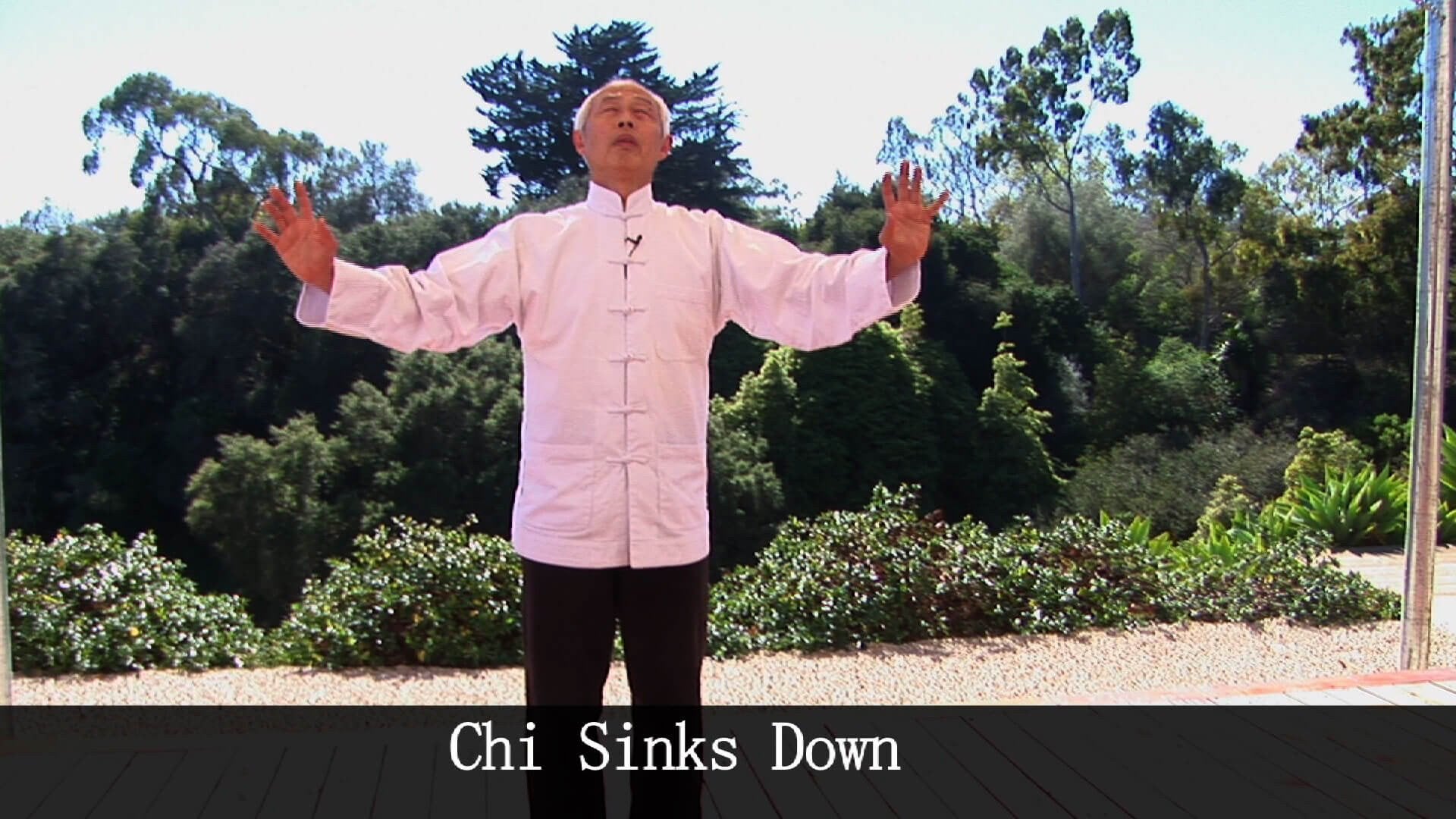 Wu Hao Tai Chi Video On DVD - Real Bodywork