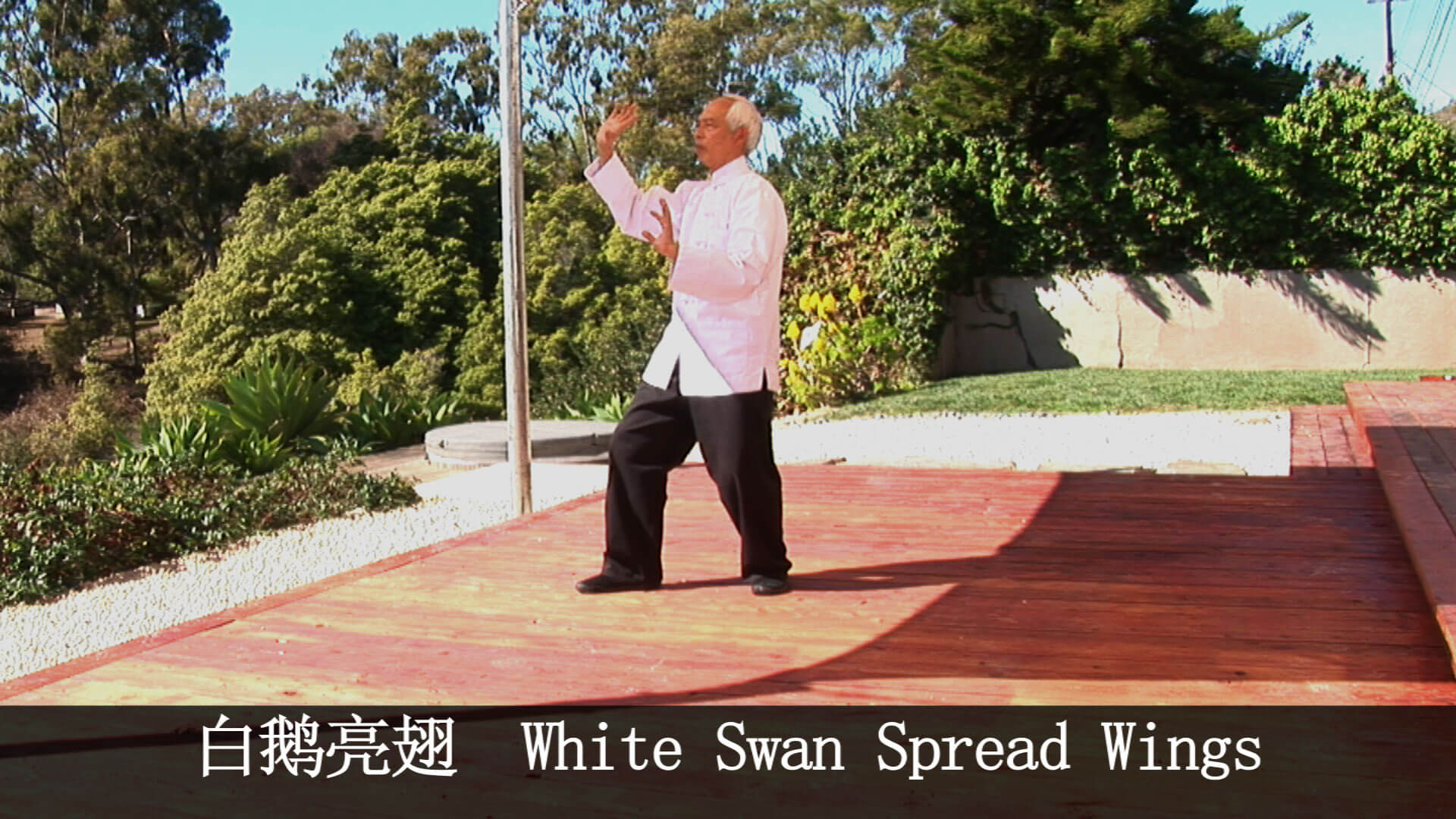 Wu Hao Tai Chi Video On DVD - Real Bodywork