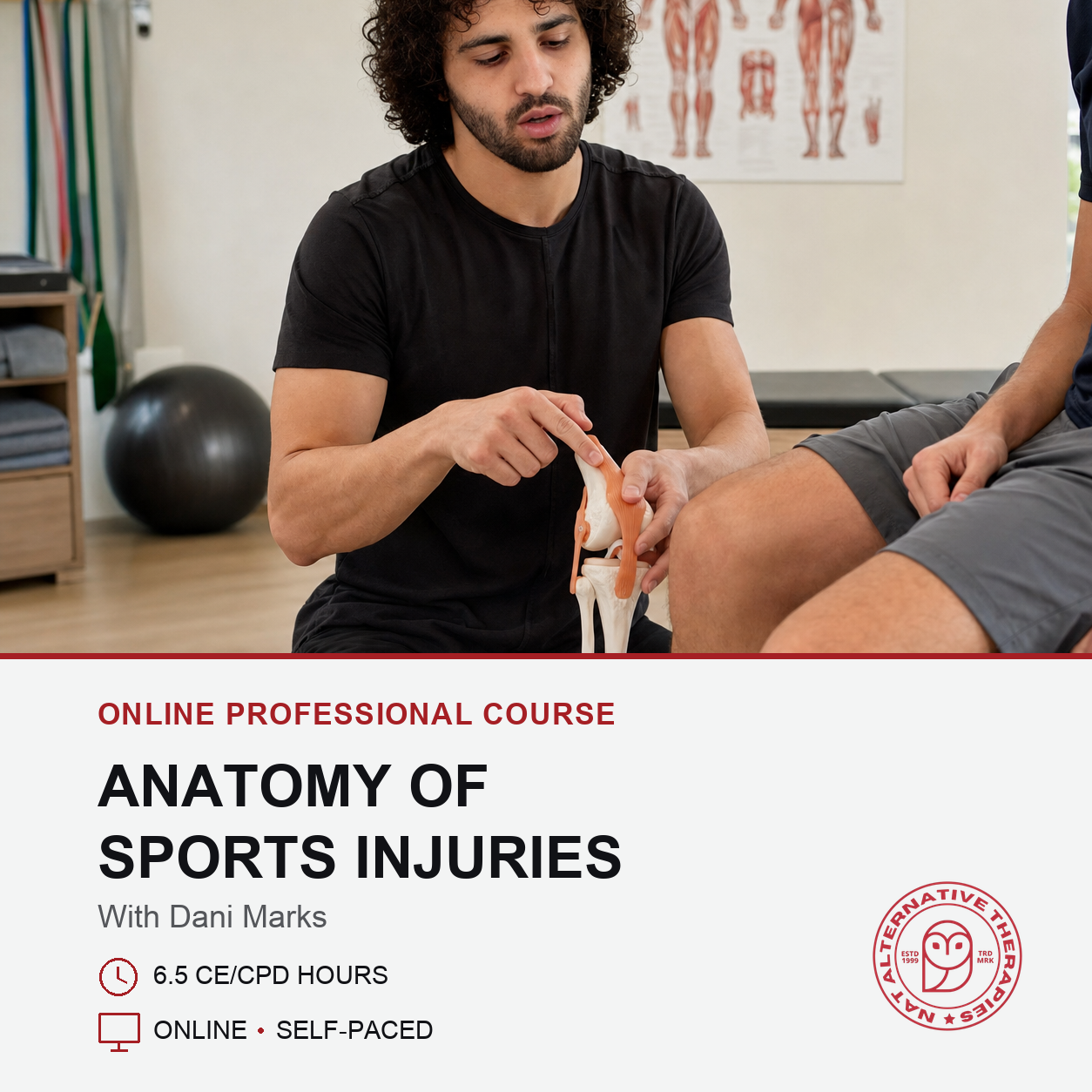 Anatomy of Sports Injuries (6.5 hrs)