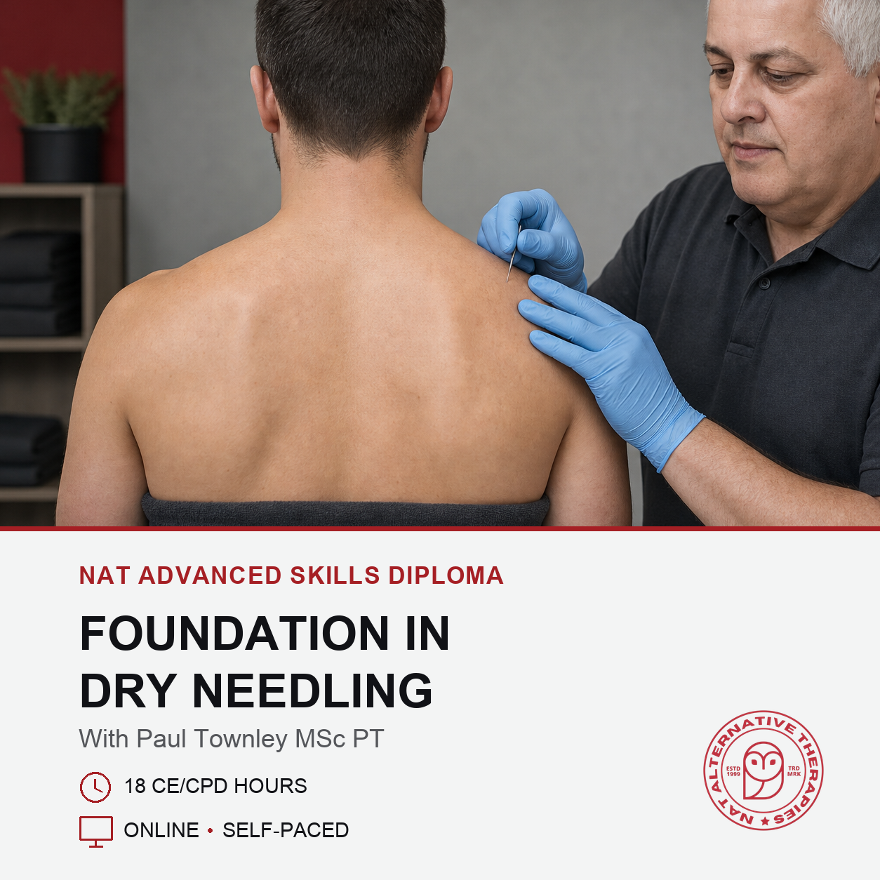 Trigger Point Dry Needling (IMS)