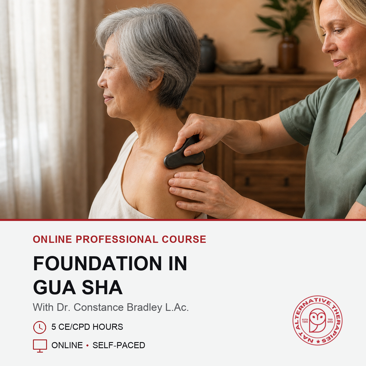Foundation in Gua Sha (5 hrs)