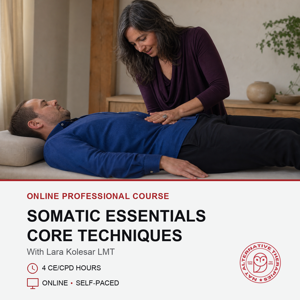 Somatic Therapy Essentials: Core Techniques for Better Clinical Results (5 hrs)