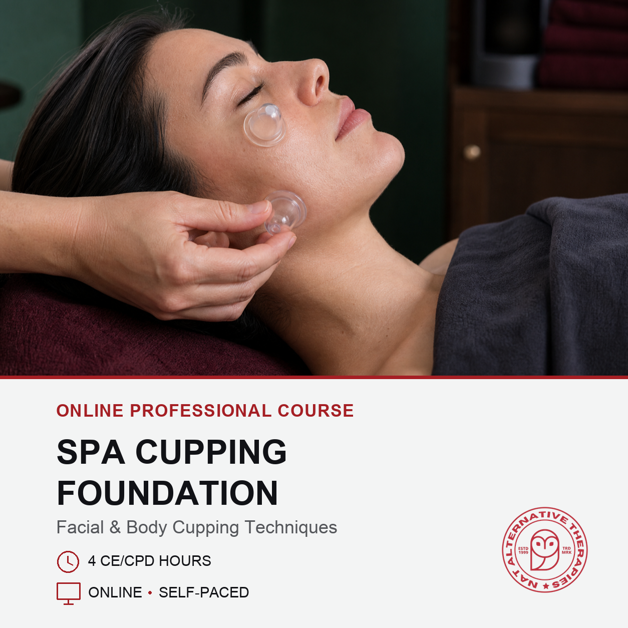 Spa Cupping Therapy (4 hrs)