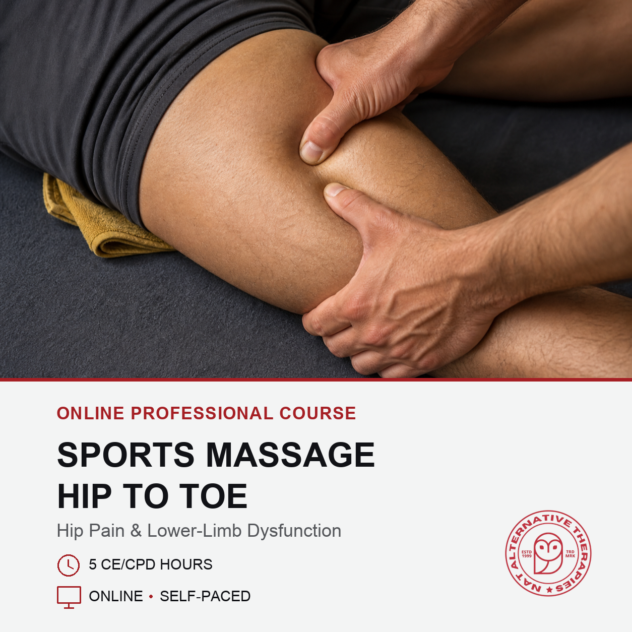 Sports Massage - Hip to Toe (5 hrs)