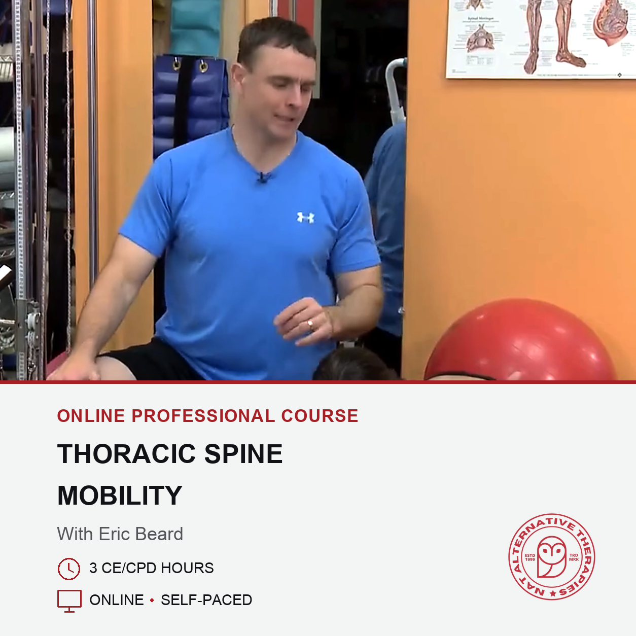 Thoracic Spine Mobility (3 hrs)