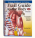 Trail Guide to the Body Student Workbook - 5th Edition