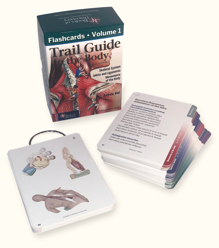 Trail Guide to the Body Flashcards, 6th Edition, Volume 1