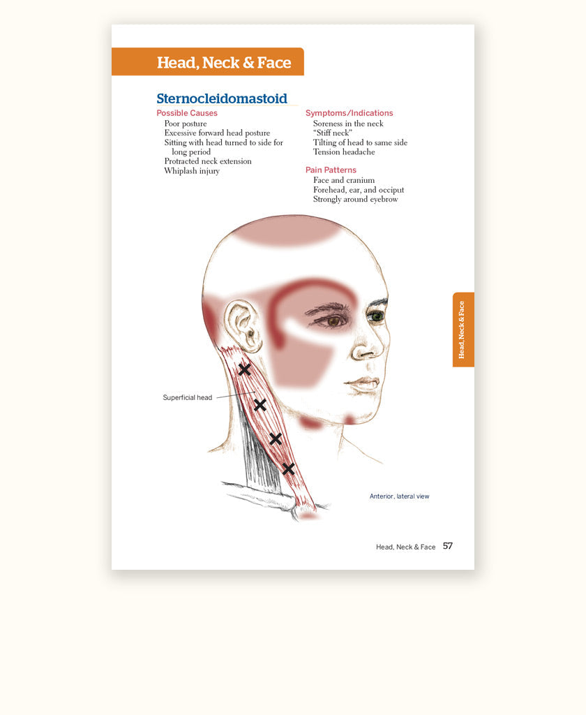 Trail Guide to the Body’s Quick Reference to Trigger Points - 2nd Edition