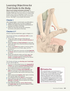Trail Guide to the Body Textbook, 7th Edition