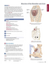 Trail Guide to the Body Textbook, 7th Edition