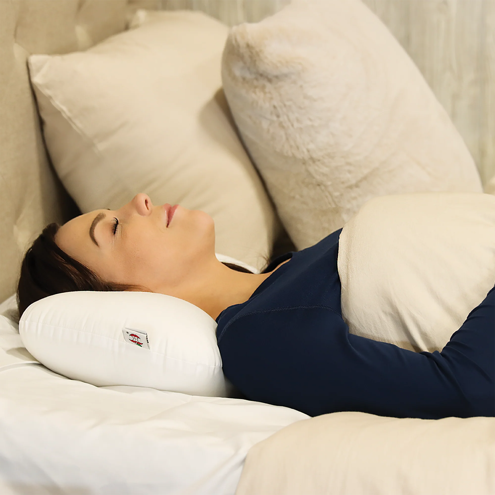Travel Core Cervical Support Pillow