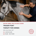 Trigger Point Therapy for Horses  - NAT Certification Course (4 hrs)