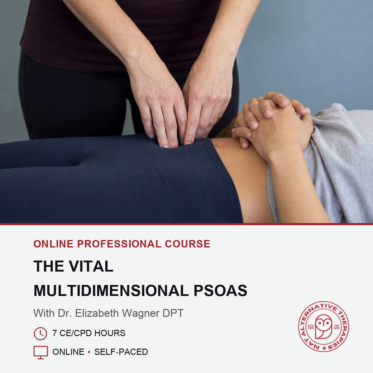 The Vital Multidimensional Psoas (7 hrs)